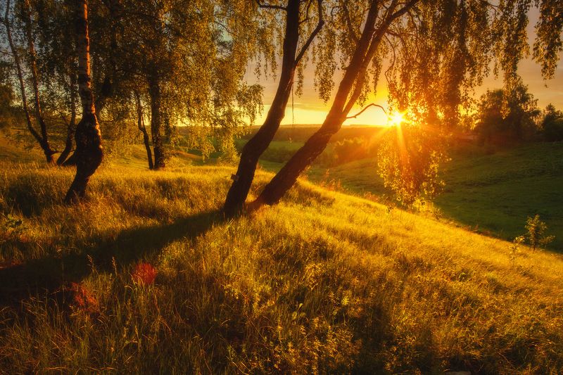 россия, московская область, зарайск, река, восход солнца, рассвет, луг, лес, весна, камни, пейзаж, природа Золотая рощаphoto preview