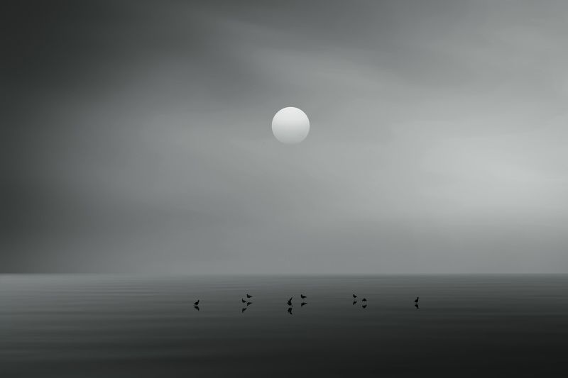 In the nightphoto preview