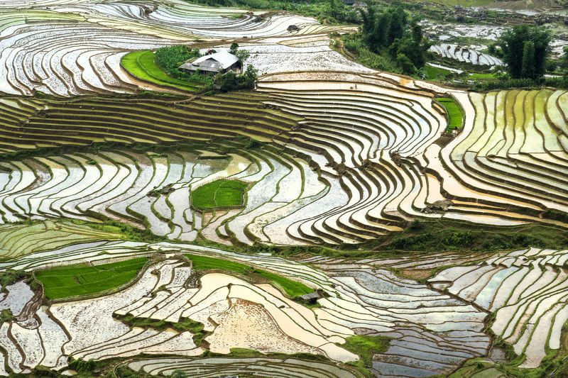 Viet namphoto preview