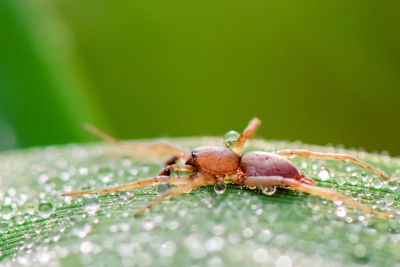 Водные процедурыphoto preview