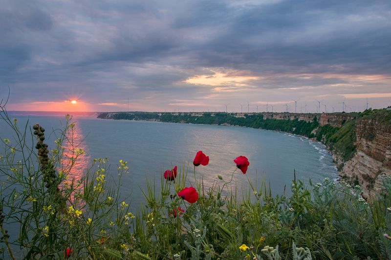 #sunset #kavarna #bulgaria #cape kaliakra #spring #travel #journey #poppy Poppy sunsetsphoto preview