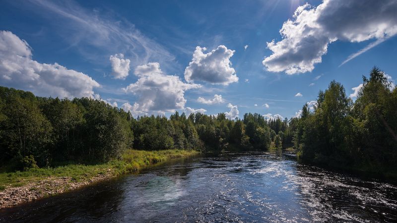 великий двор,вологодчина,кема,север,лето, Кемушка.photo preview