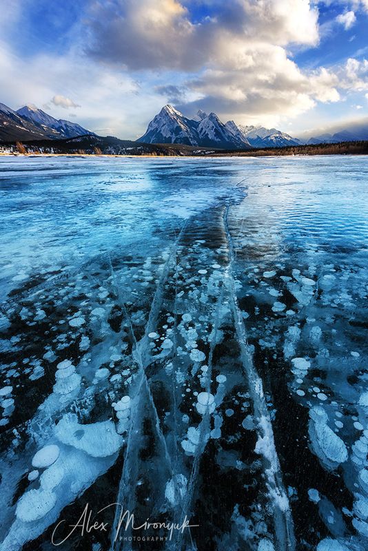 канада, альберта, метан, метанин, пузыри, лед, фото-тур, отражение, зима, снег, лед, горы, озеро, байкал, Зима в Альбертеphoto preview