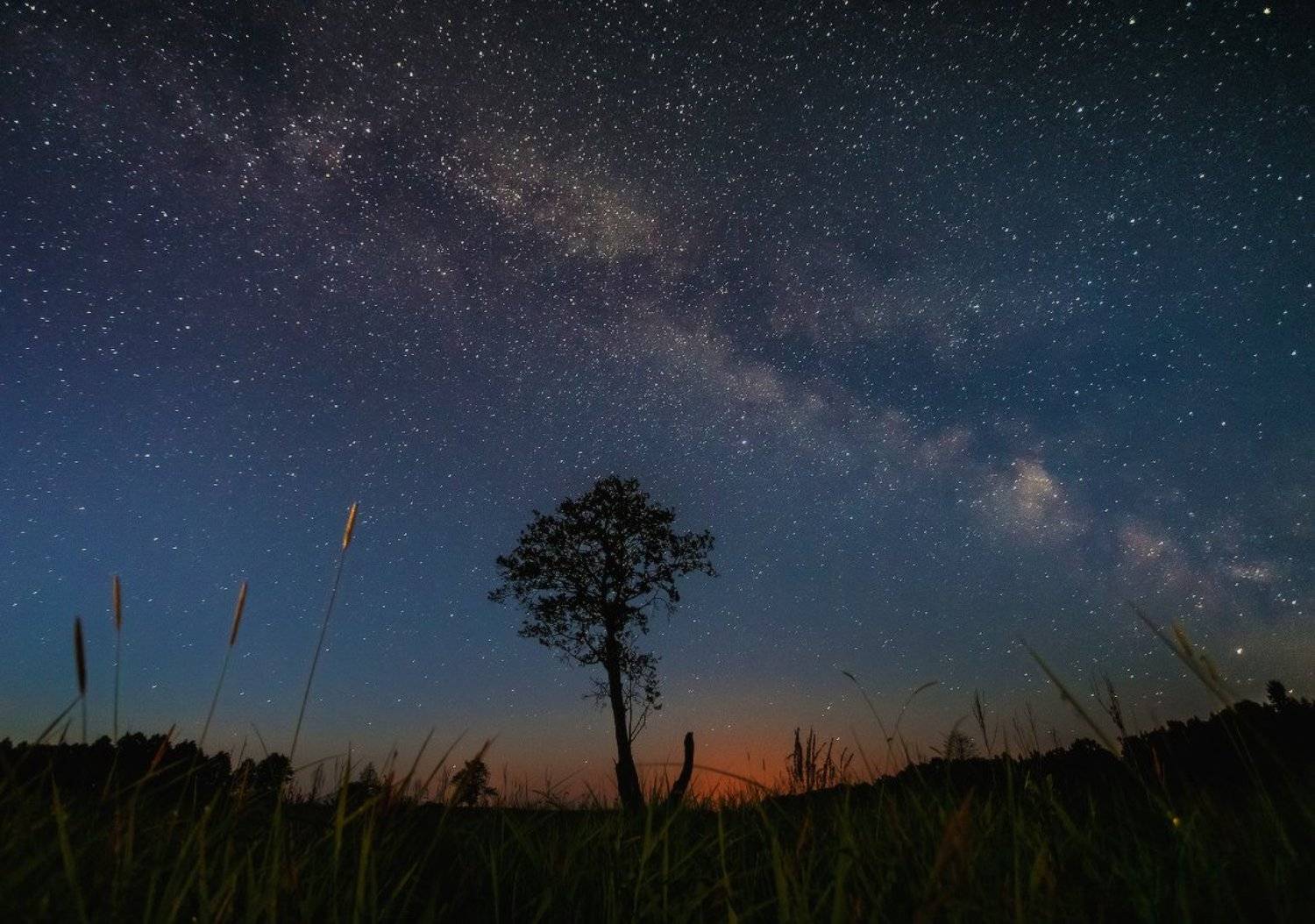 ночь,звезды,млечный путь, Андрей Дитковский