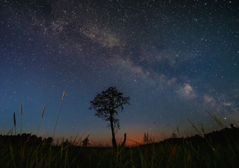ночь,звезды,млечный путь Летняя ночь..photo preview