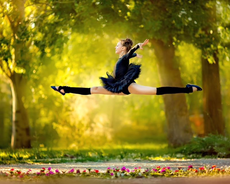 Черный лебедьphoto preview