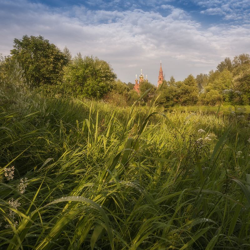 Храм, зелень, лето, небо, сергиевпосад, вера, православие, лето, солнце, россия, пейзаж Черниговский скит photo preview