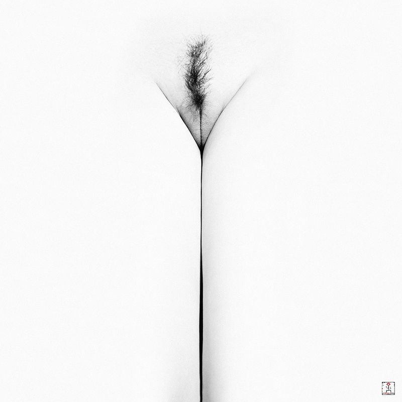 *** ***photo preview