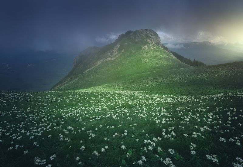 Северный кругозорphoto preview