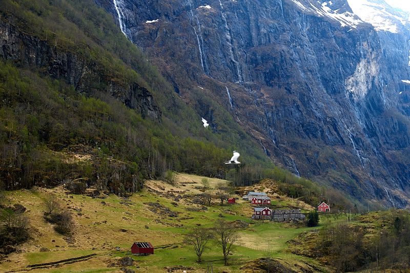 Норвегия фото превью