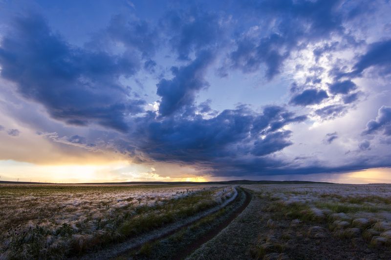 ковыль, степь, оренбуржье, дорога, небо, свет, тучи, гроза +++photo preview