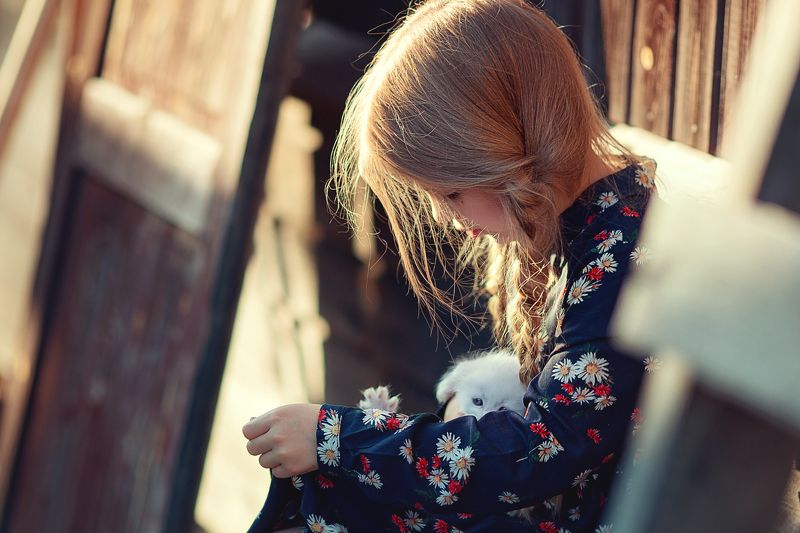 девочка портрет котенок Домой...photo preview