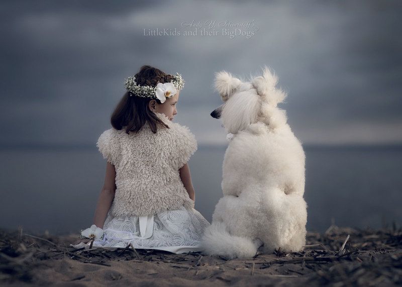 May evening on the sullen Baltic shorephoto preview