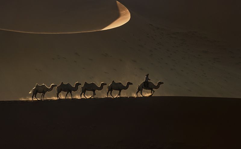 The way homephoto preview