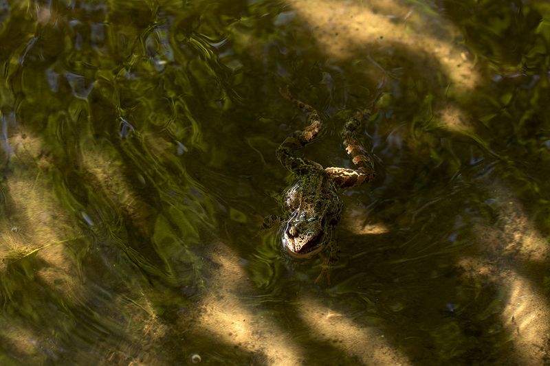 Маскировкаphoto preview