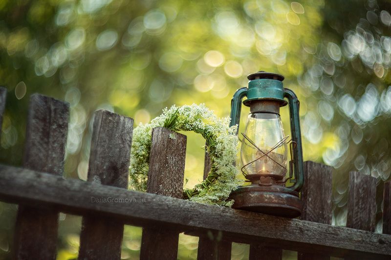 боке, ручной обьектив, мануальная оптика, фотограф, фотосессия, натюрморт, фото, блики, цветы, гелиос, макро, шмель, природа, Летний вечерphoto preview