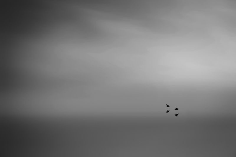 On the beachphoto preview