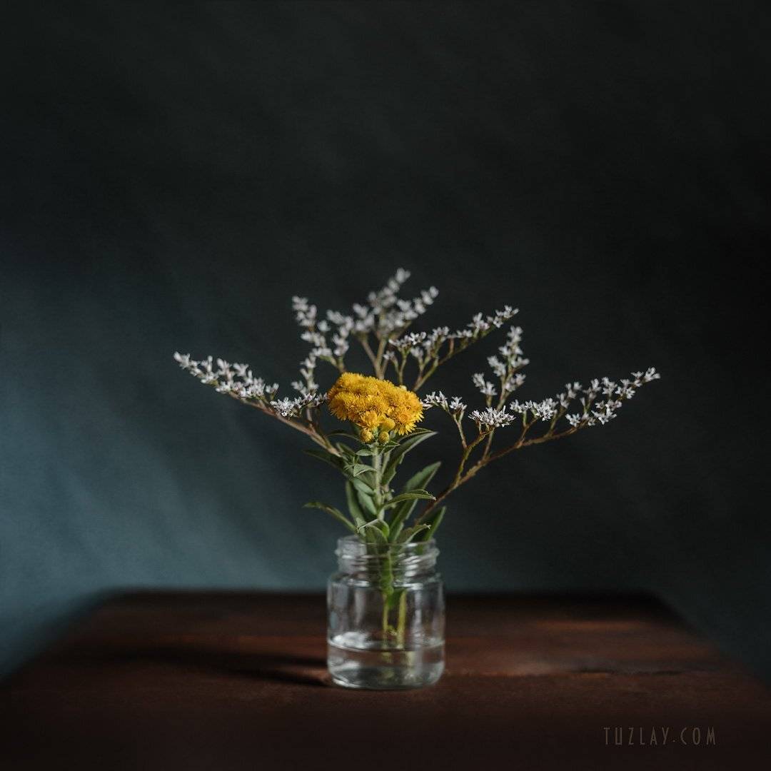 Лето в банке #2. Автор: Владимир Тузлай лето в банке, желтый цветок, углостебельник татарский, inula germanica, девясил германский, Владимир Тузлай