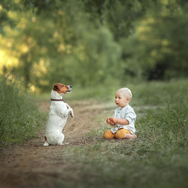 Разговор о важномphoto preview