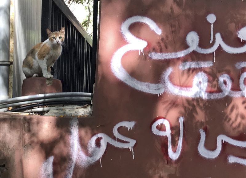 бейрут, ливан ***photo preview