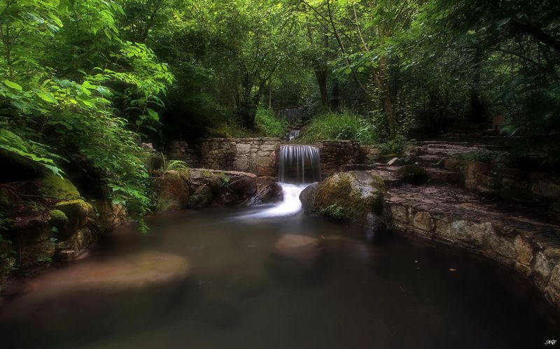 ручей пруд июнь Пруд.photo preview