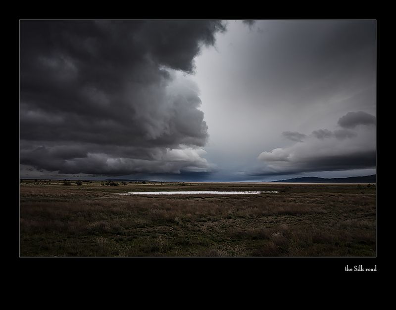 про утренние креатуры... или вечный вопросphoto preview