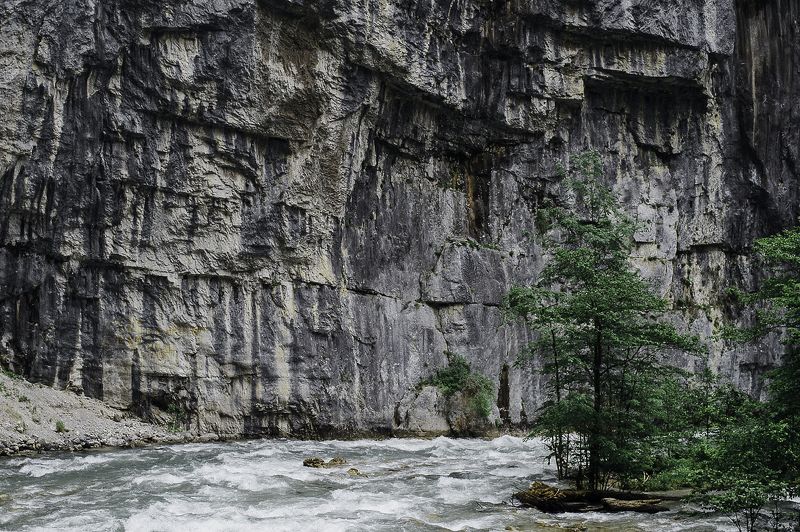 ущелье, стена, горы, скалы, река, дерево, течение, поток Горная рекаphoto preview