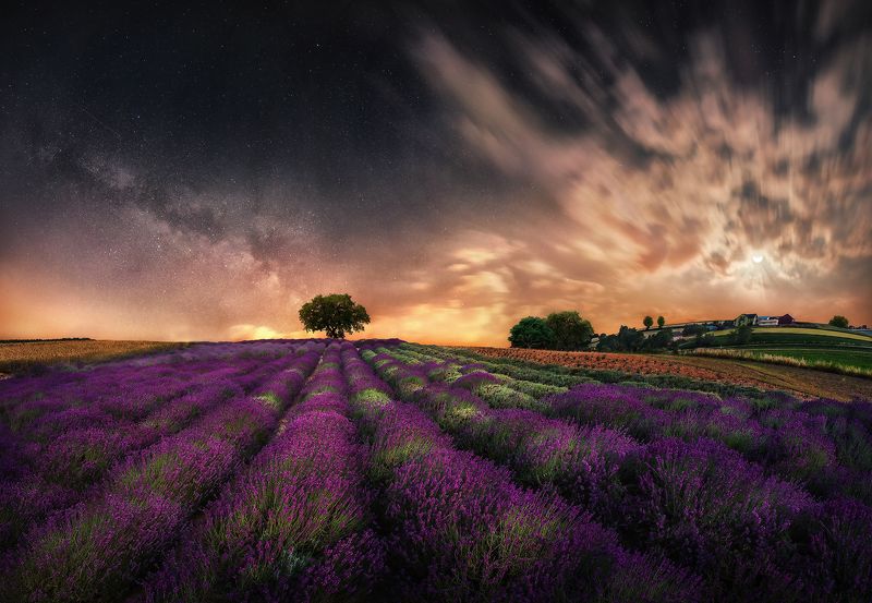 milky way, lavender, field, night, moon, sky,  Lavender field by nightphoto preview