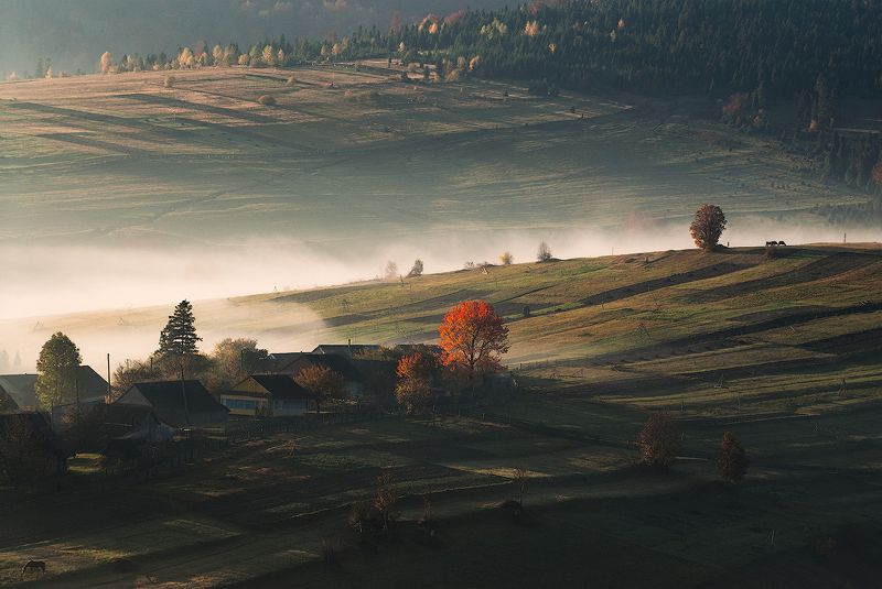 Пробуждениеphoto preview