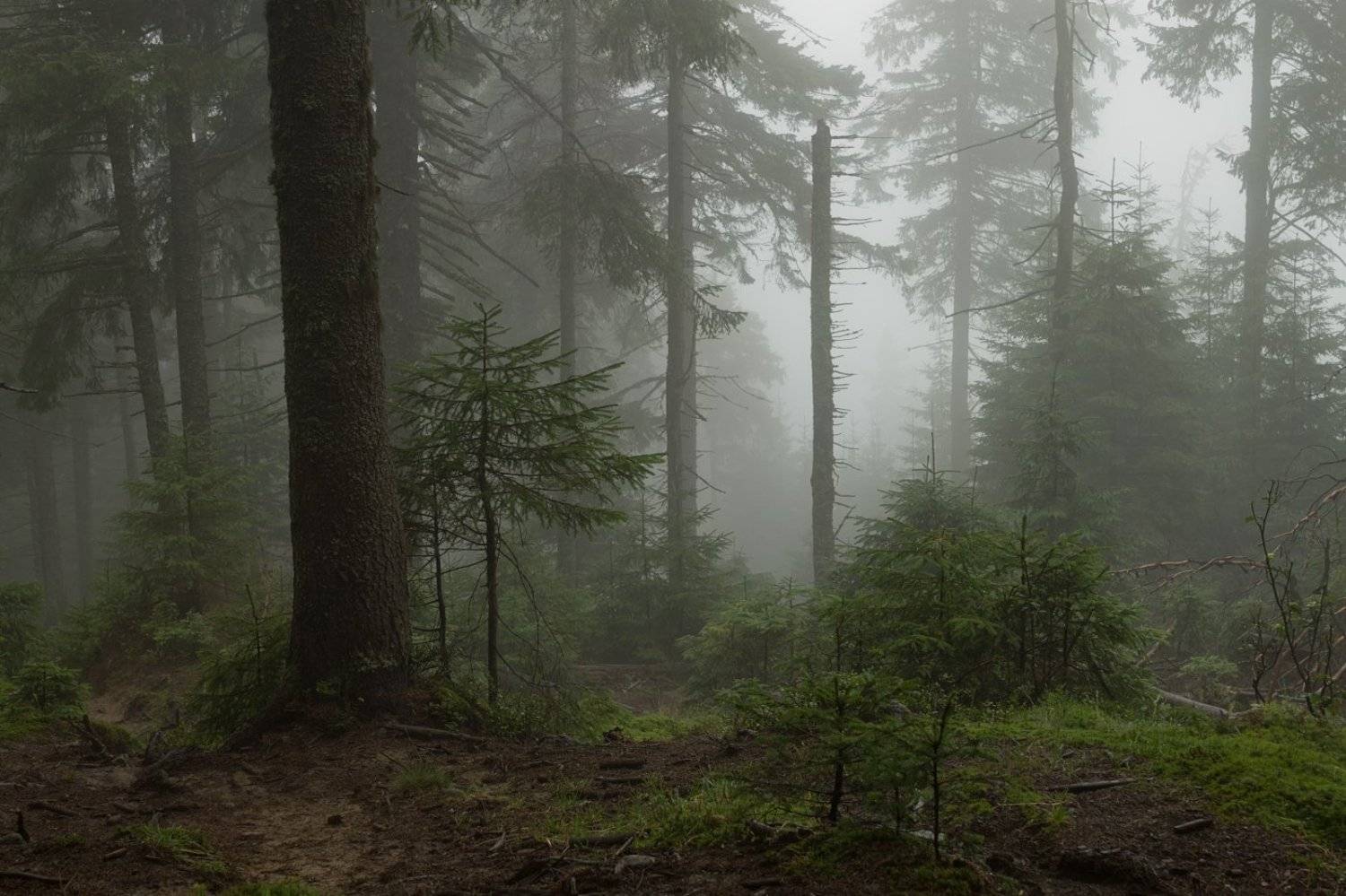 . . .. Автор: Alexey Argentum , Alexey Argentum