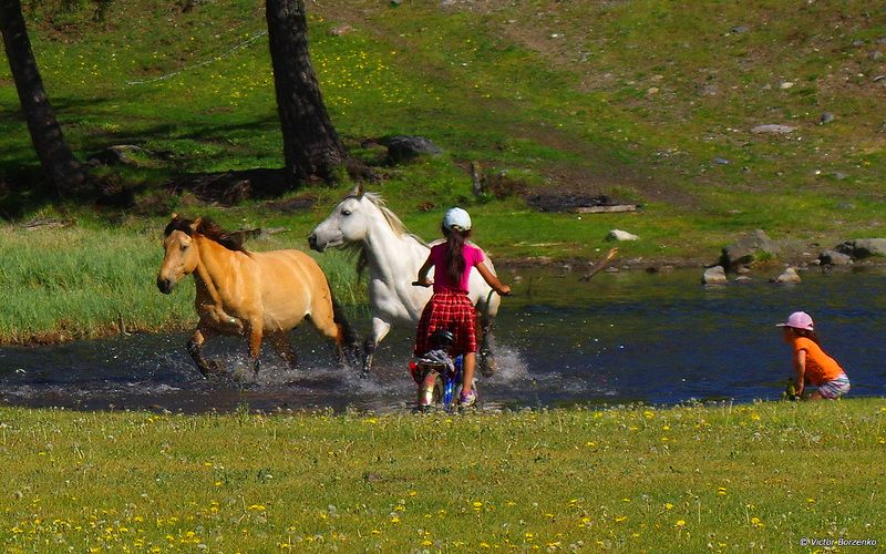 брод, река, дети , лошади Бродphoto preview