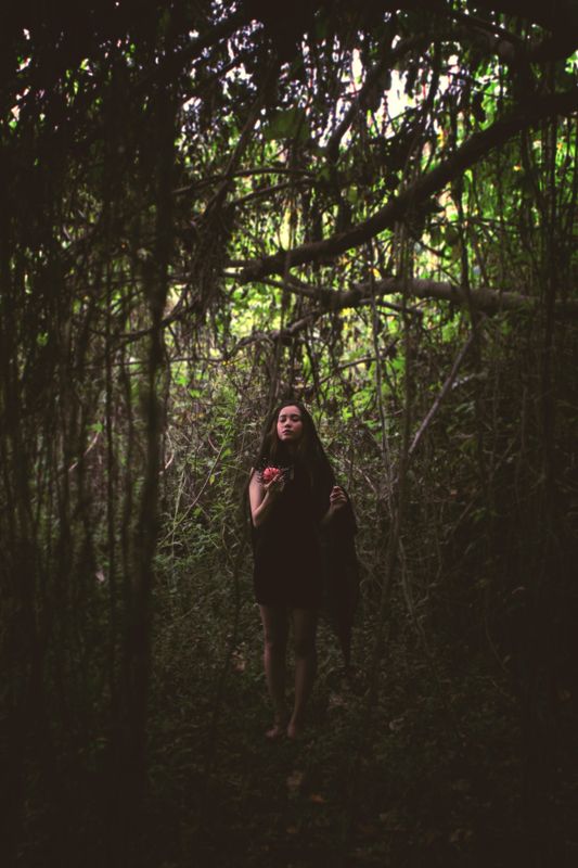 the forbiden fruitphoto preview