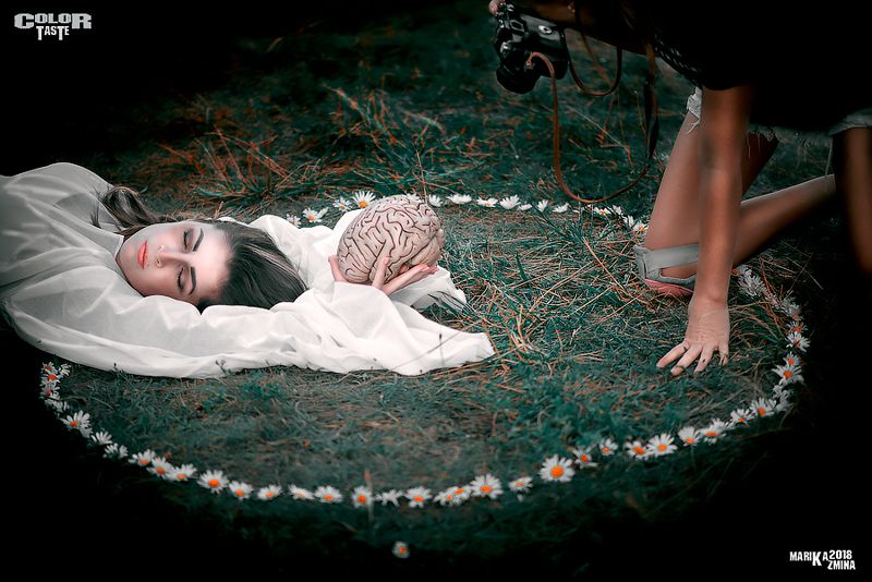 COLOR TASTEphoto preview