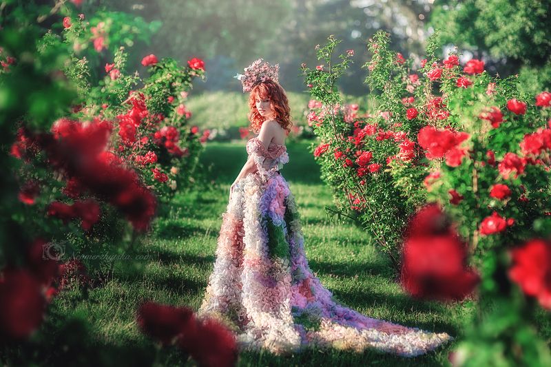 Secret gardenphoto preview