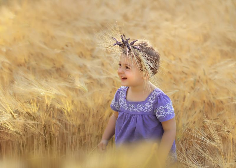 дети, поле, лето, рожь, детство В золоте полейphoto preview