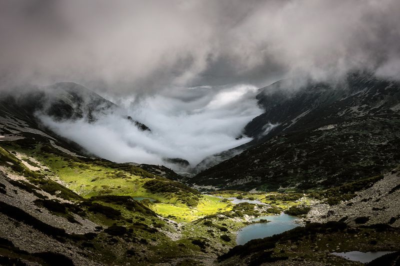 Превальский циркусphoto preview