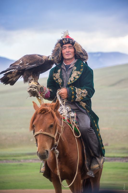 Беркутчи photo preview