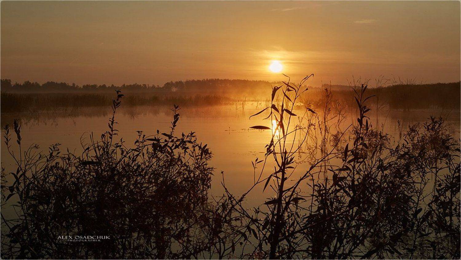, александр осадчук