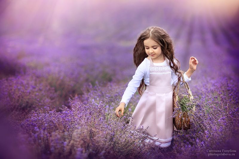 дети, лаванда, крым, детский фотограф, детская фотосессия Лавандовые мечтыphoto preview