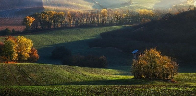 Охотничий сезонphoto preview