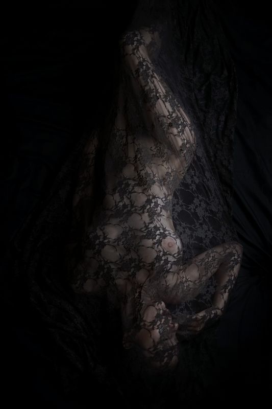 black, lace, fine-art, nude, veil photo preview