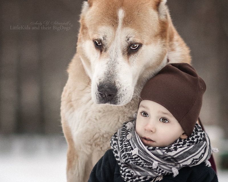 Короче, пацаны, я не один пришел!photo preview