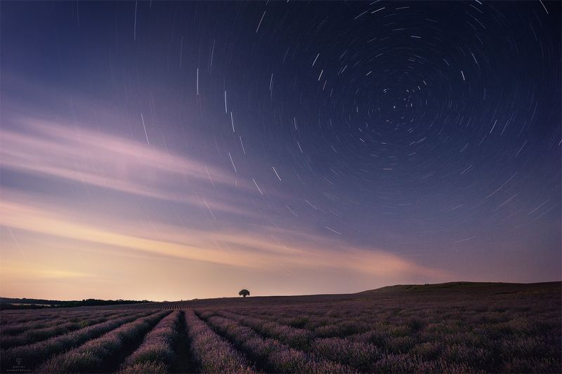 Лавандовый круговоротphoto preview