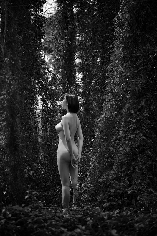 nude nudephoto preview