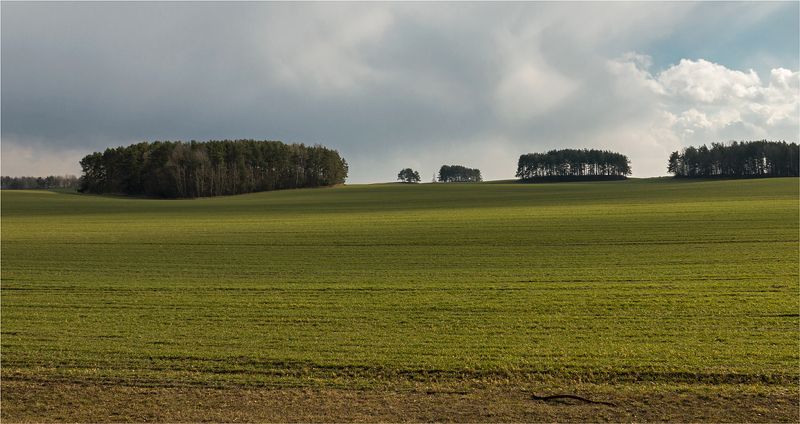 поле, деревья, небо, трава Win XP (производства Беларуси) ;)))))photo preview