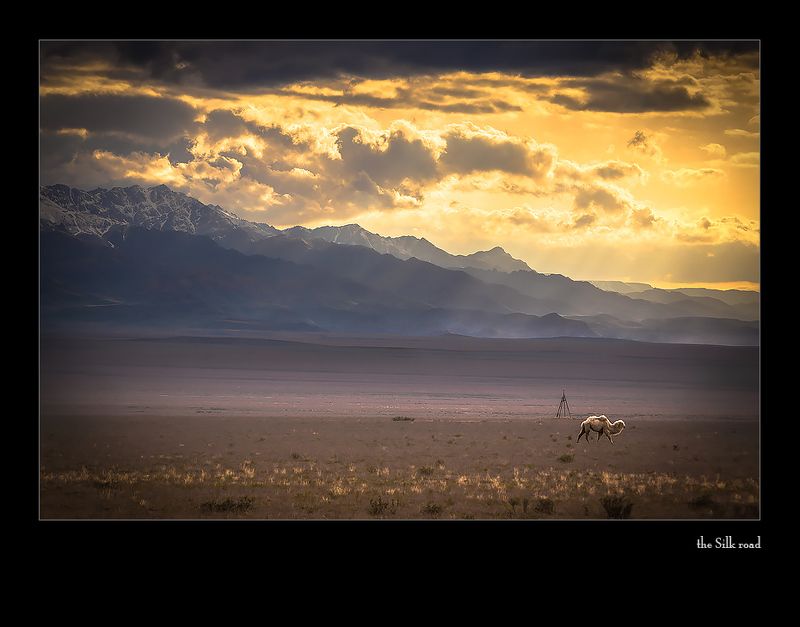 каратау про встречу с бактрианом ...или пусть будут чёрнымиphoto preview