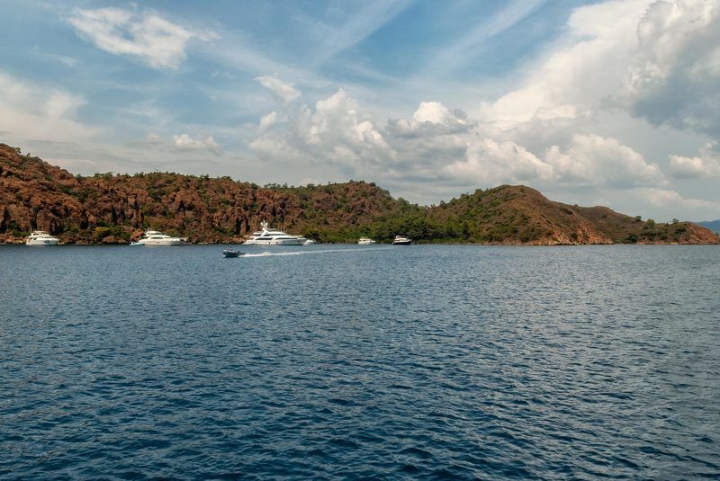 Остров с кроликамиphoto preview