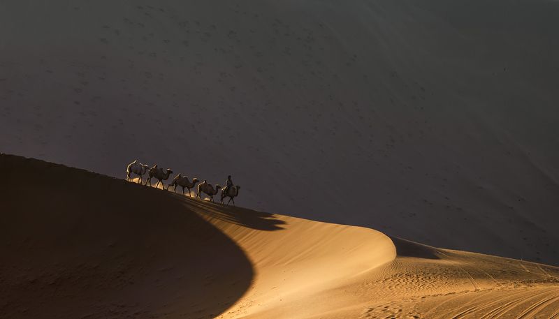 The way home #2photo preview