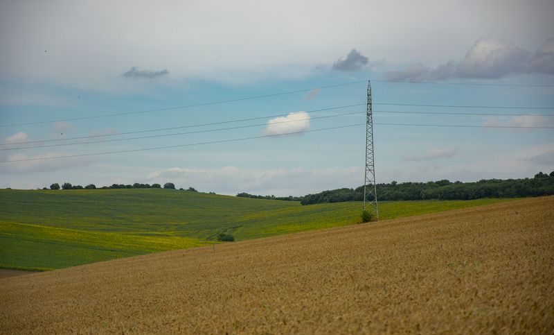 ceclii, nikon d3400 photo preview