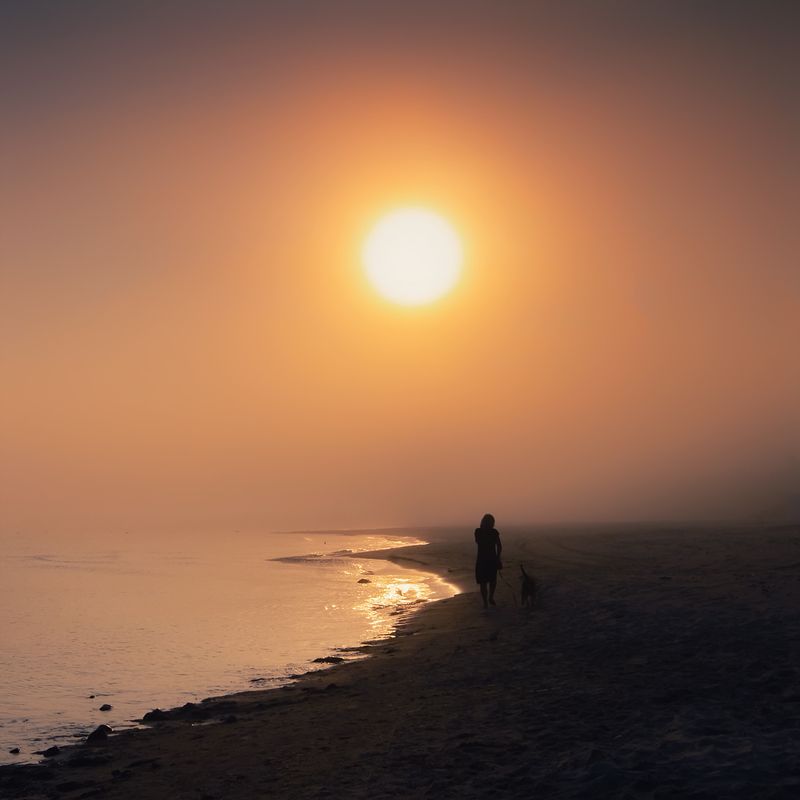 Morningphoto preview